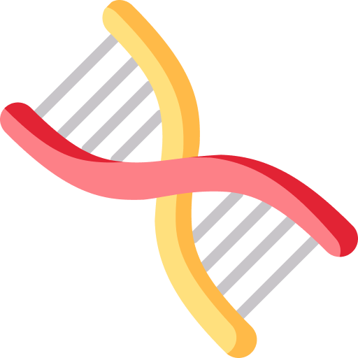 An illustration of a DNA double helix featuring two spiraling strands in yellow and red colors connected by horizontal lines representing the nucleotide bonds on a white backgroundhighlighting the intricate role of genetics in our biological make up